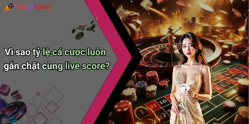 Vì sao tỷ lệ cá cược luôn gắn chặt cùng live score?