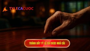 tránh bẫy tỷ lệ cá cược nhà cái