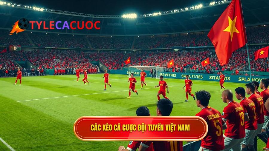 Các loại kèo phổ biến khi cá cược đội tuyển Việt Nam